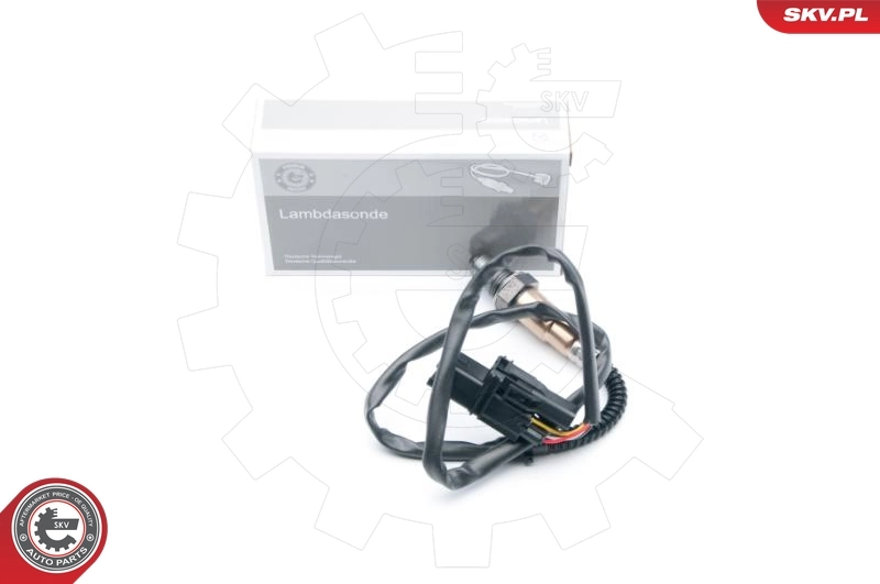 Oxygen Sensor